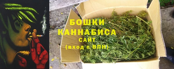 твердый Дмитриев