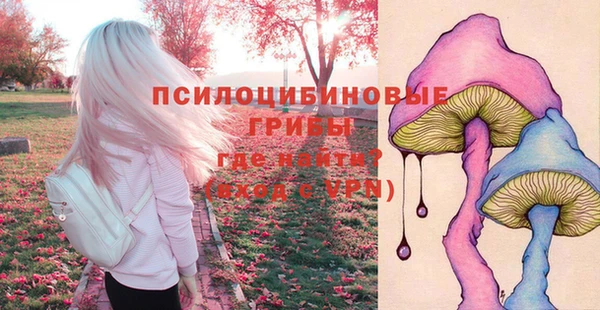 тгк Сосновый Бор
